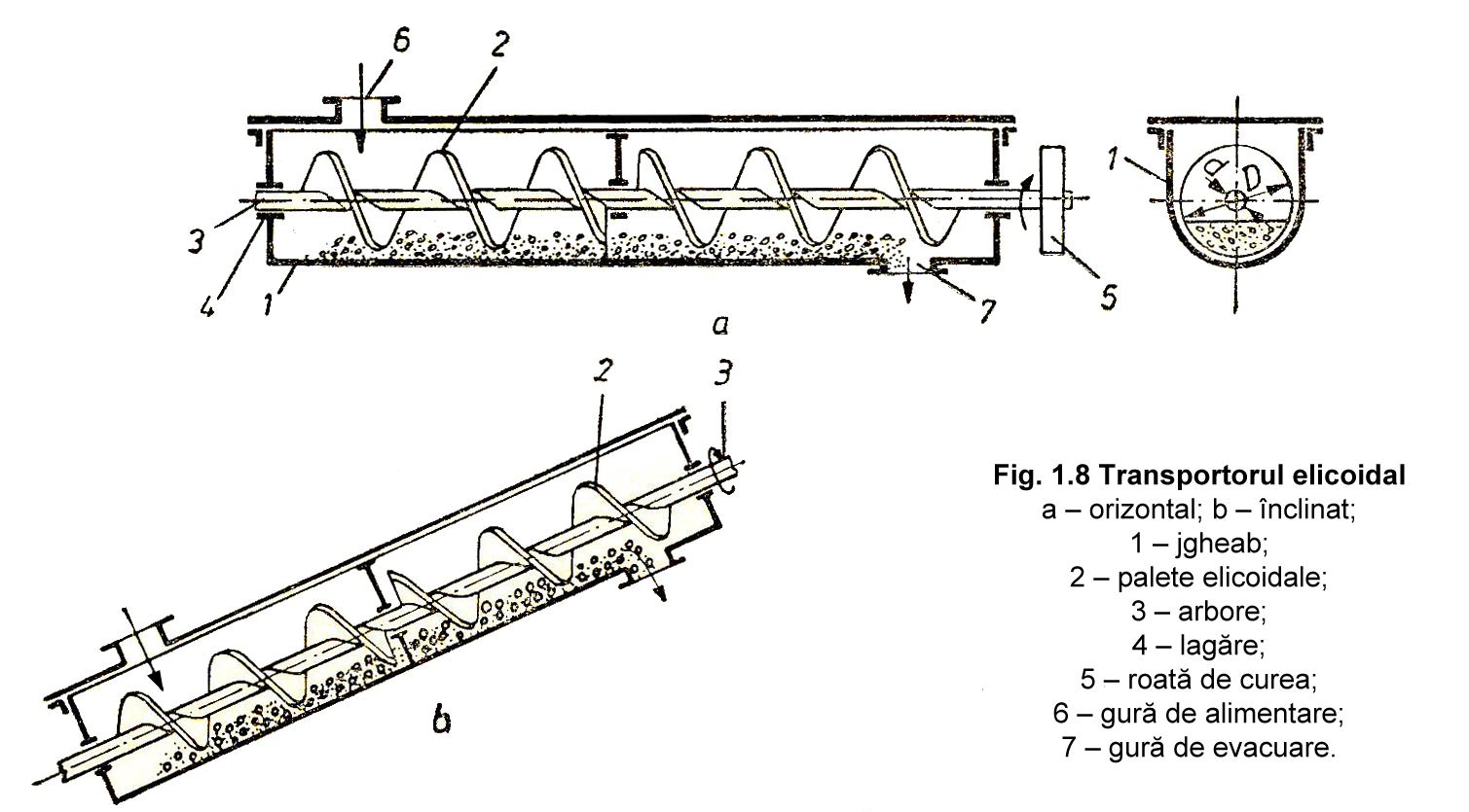 Fig. 1.8 Transportorul elicoidal